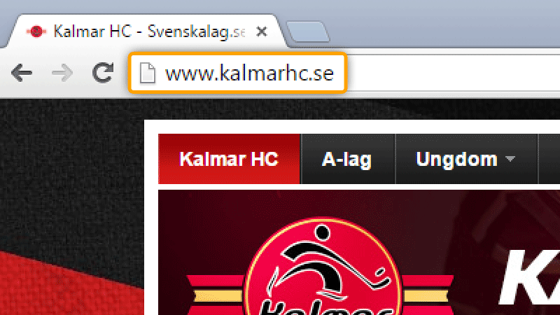 Koppling till egen domän