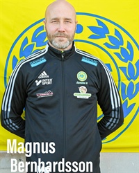 Magnus Bernhardsson